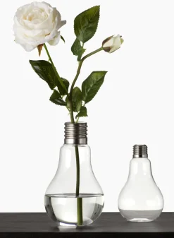 Glass Light Bulb Vases
