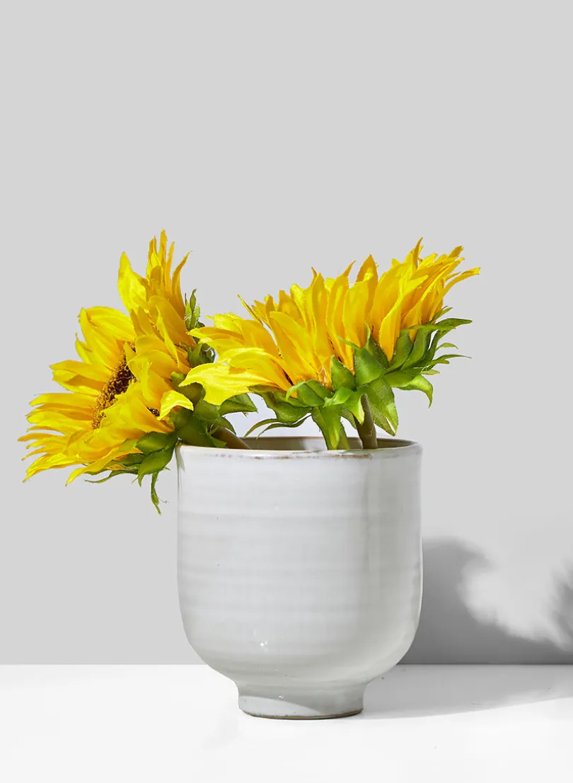 Glazed Ceramic Pedestal Bowl, Set of 2