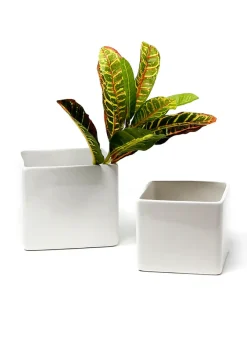 Gloss White Ceramic Cubes