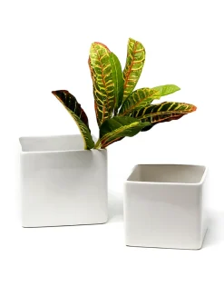 Gloss White Ceramic Cubes