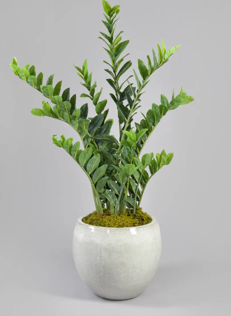 Grand Bowl Clay & Ceramic Planter, Cloud White