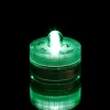 Green Submersible Single LED Light, Set of 10