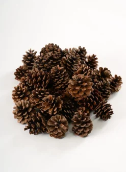 500G Small Natural Pinecones in Net Bag