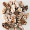 300G White Tip Long Pinecones in Net Bag