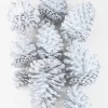 300G White Wash Pinecones In a Net Bag
