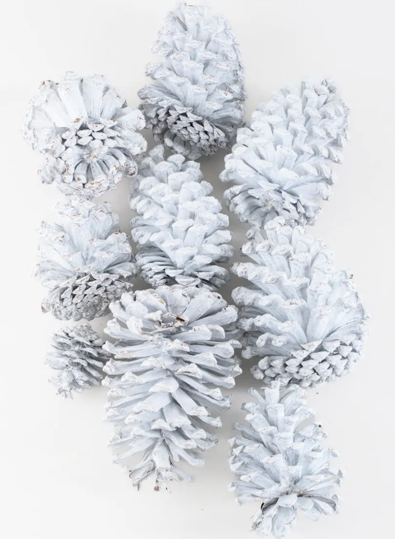300G White Wash Pinecones In a Net Bag