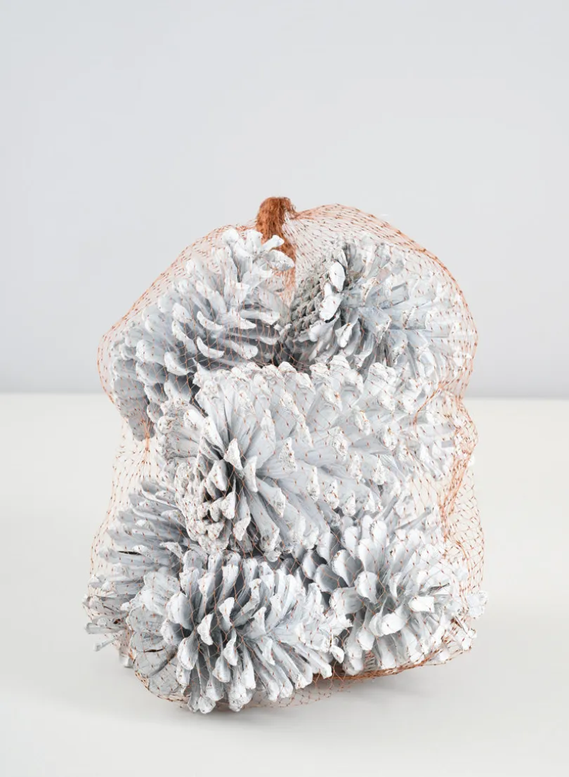 300G White Wash Pinecones In a Net Bag