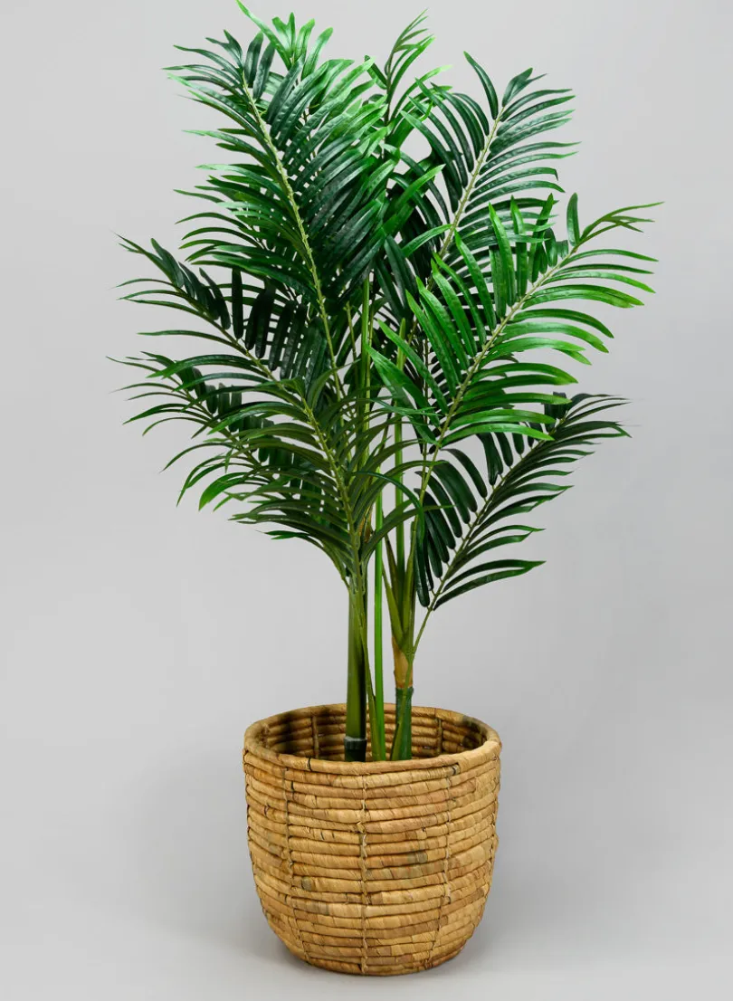 Haiphong Water Hyacinth Cachepot