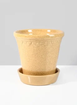 Honey Relief Ceramic Pot & Saucer
