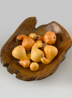 Illinois Fall Harvest Mini Gourds, Bag of 10