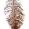 18 - 20in Brown Ostrich Feather