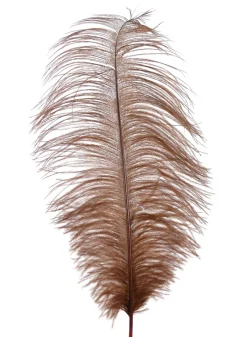 18 - 20in Brown Ostrich Feather