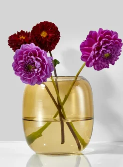 5in Dark Amber Capsule Glass Vase