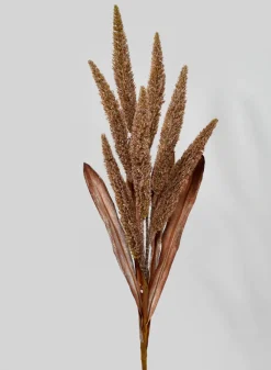 35in Dark Brown Amaranth Reed