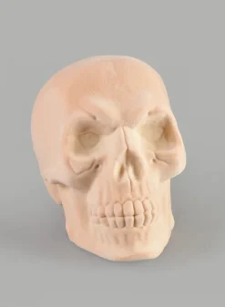 6in Flocked White Skull