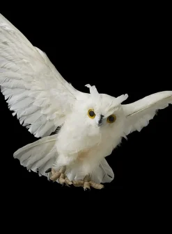 28in Flying White Owl