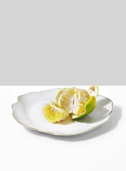 9in Freeform Edge Ceramic Potter's Plate, Set of 2