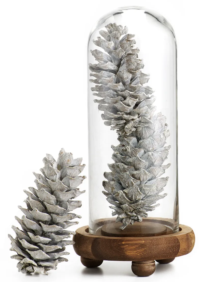 5in / 5.5in Long White-Washed Pinecones, Case of 3