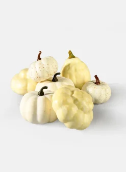 3in - 3.75in Wide Assorted Harvest White Pumpkins, Set of 7