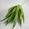 6in Long Aloe Pick, Case of 12