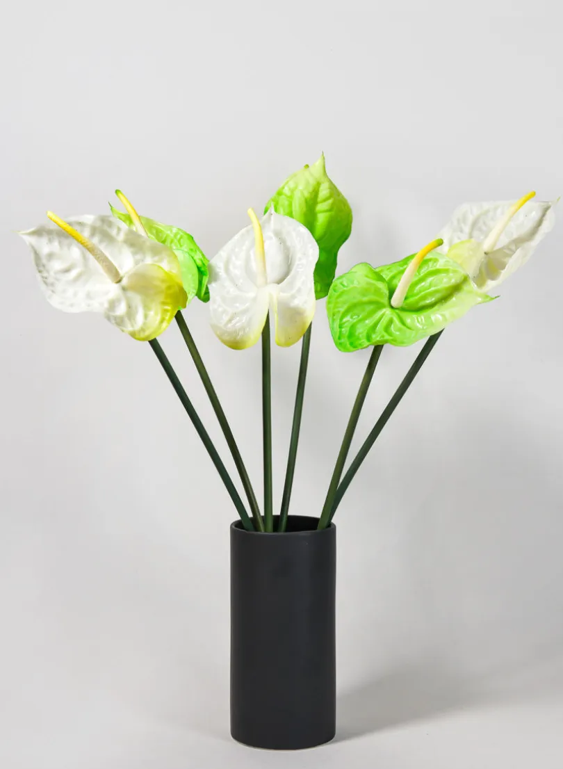 27in Long Anthurium Spray, White, Case of 12