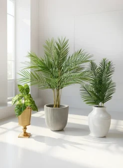 36in Long Areca Palm