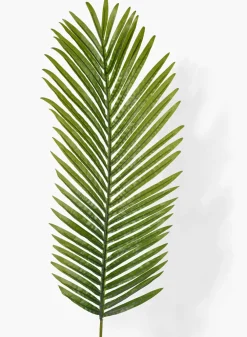 45in Long Areca Palm Leaf, Case of 12