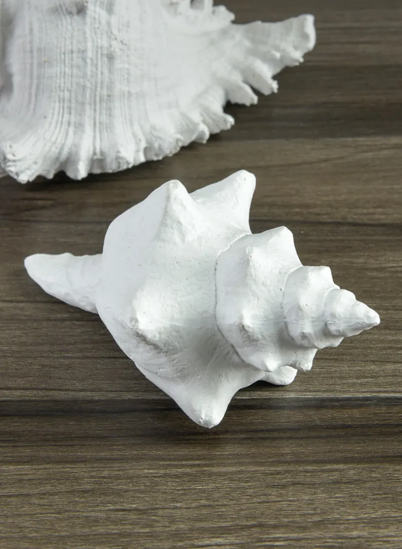 5.5in Long Artificial Florida Horse Conch Seashell