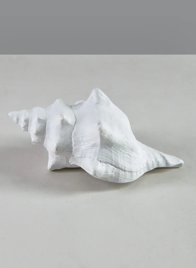 5.5in Long Artificial Florida Horse Conch Seashell