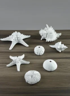 9in Long Artificial Giant White Knobby Starfish