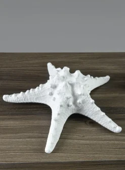 9in Long Artificial Giant White Knobby Starfish