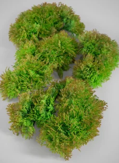 10in Long Artificial Green Moss