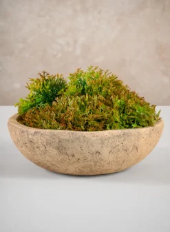 10in Long Artificial Green Moss