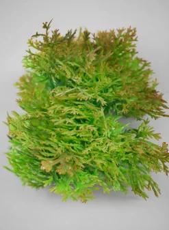 10in Long Artificial Green Moss