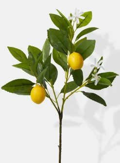 23in Long Baby Lemon Tree Pick, Case of 12
