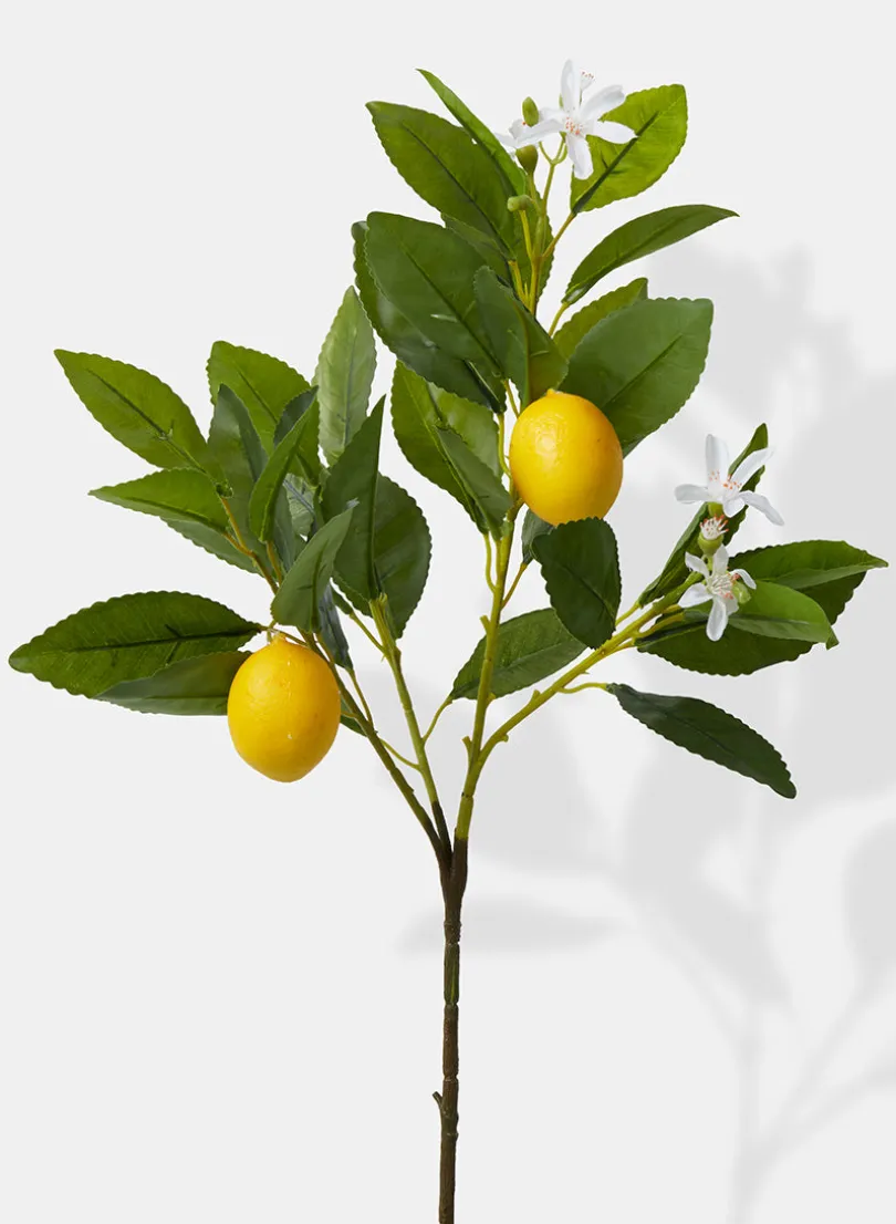 23in Long Baby Lemon Tree Pick, Case of 12
