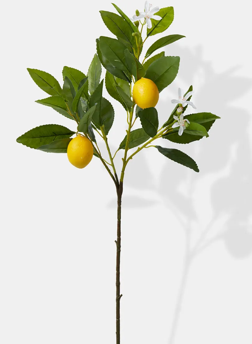 23in Long Baby Lemon Tree Pick, Case of 12