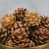 2in Long Bag of Assorted 18 Pinecones