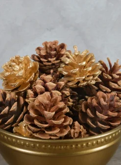 2in Long Bag of Assorted 18 Pinecones