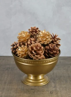 2in Long Bag of Assorted 18 Pinecones