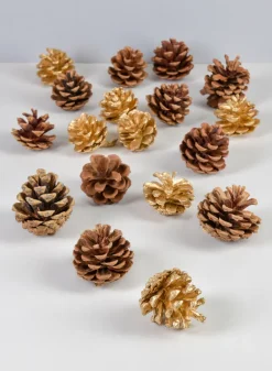2in Long Bag of Assorted 18 Pinecones