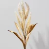 35in Long Beige Amaranth Reed, Case of 12
