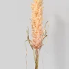 42in Long Beige Pampas Grass Reed, Case of 12