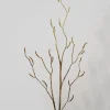 48in Long Birch Branch with Catkins, Case of 12