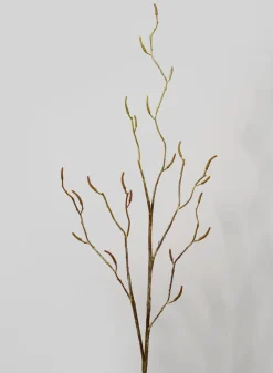 48in Long Birch Branch with Catkins, Case of 12