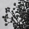 14in Long Black Holly Fruit Bush, Case of 12