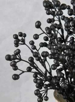 14in Long Black Holly Fruit Bush, Case of 12