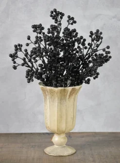 14in Long Black Holly Fruit Bush, Case of 12