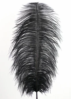 18 - 20in Long Black Ostrich Feather