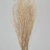 30in Long Bleached Flixweed Bunch